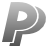 Payment PayPal Icon